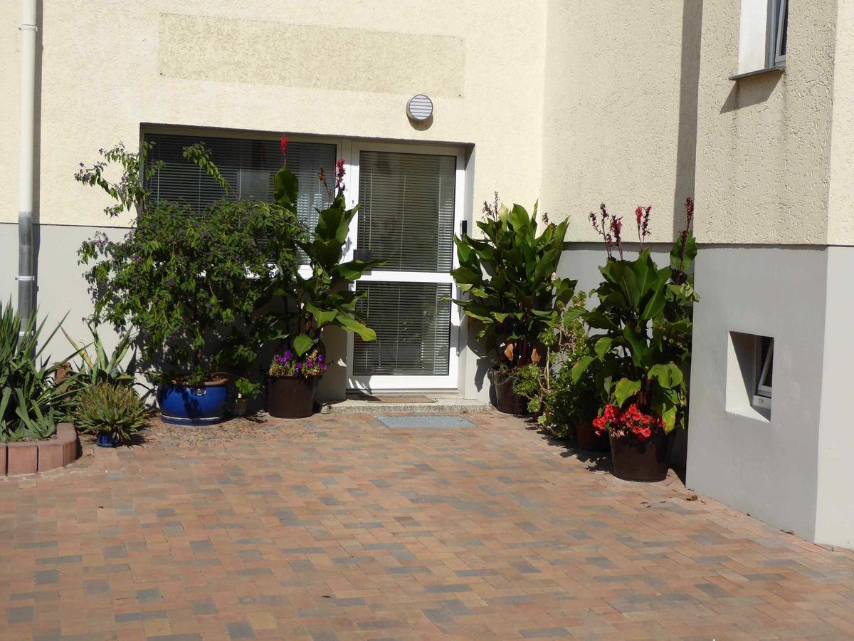 Wittenberg Ferienwohnung Winter מראה חיצוני תמונה