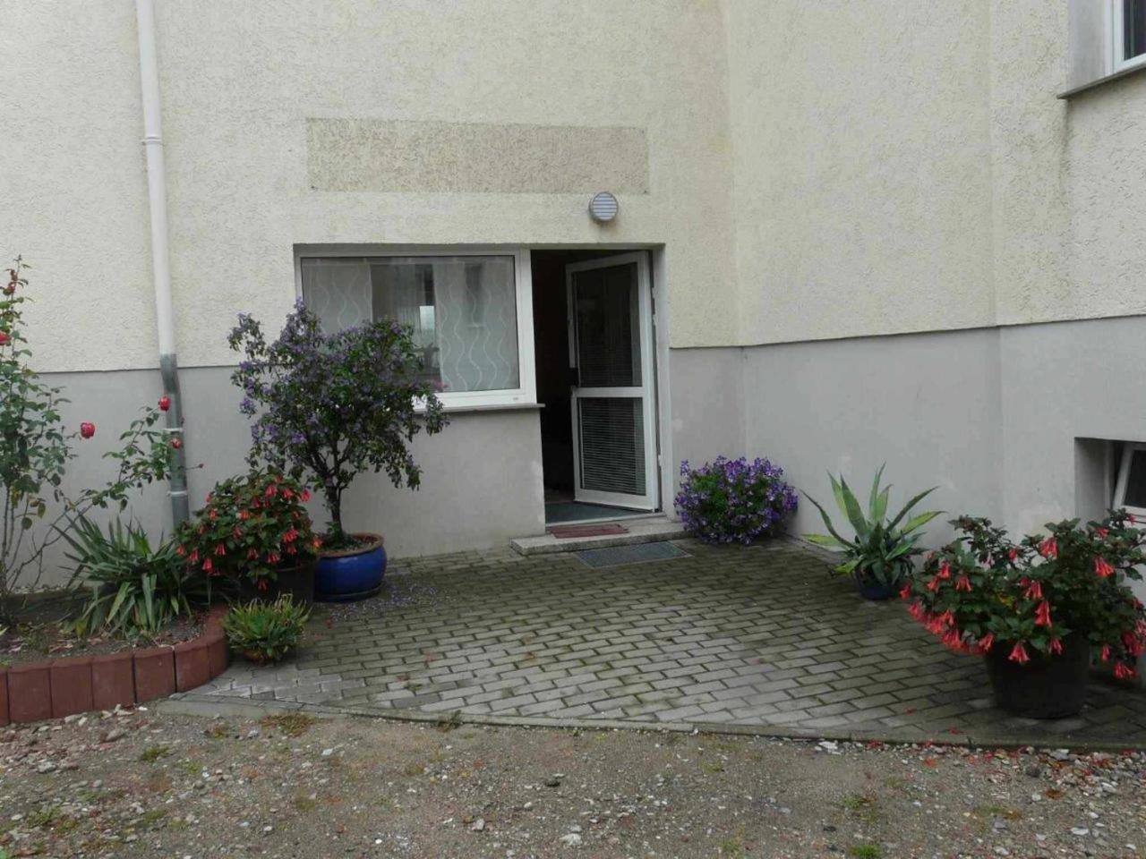 Wittenberg Ferienwohnung Winter מראה חיצוני תמונה